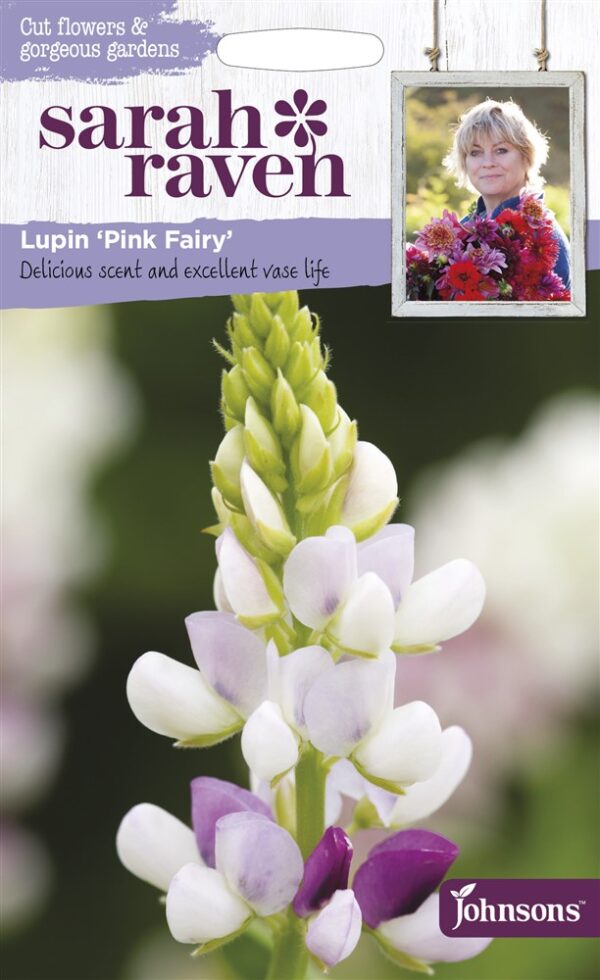 SR Lupin Pink Fairy