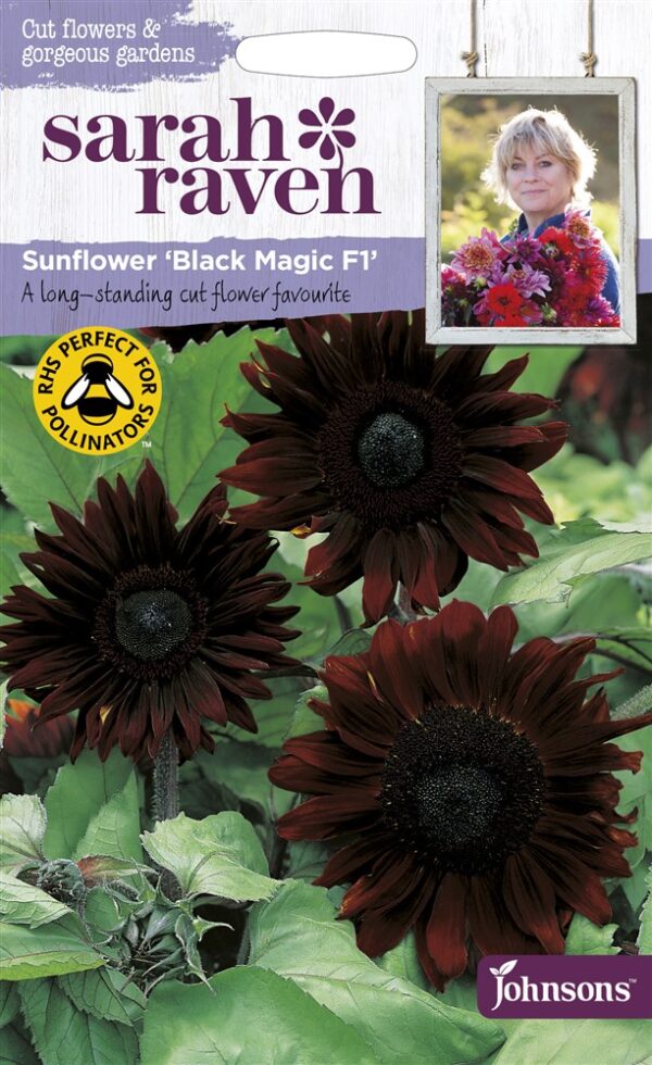 SR Sunflower Black Magic F1