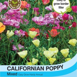 Californian Poppy Mixed