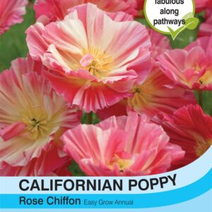 Californian Poppy Rose