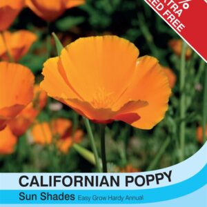 Californian Poppy Sun Shade
