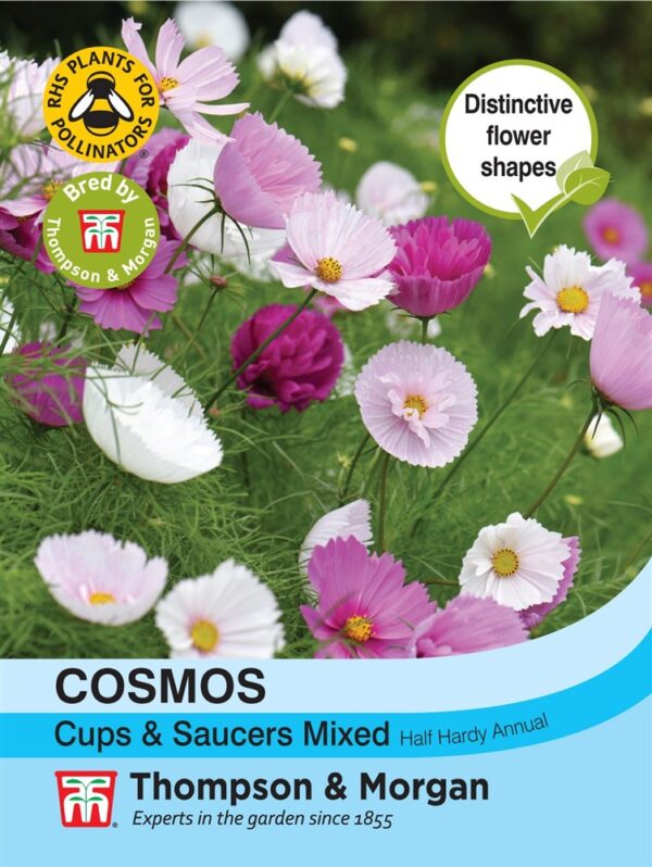 Cosmos Cups & Saucers Mixed