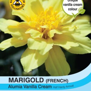 Marigold Alumia Vanilla