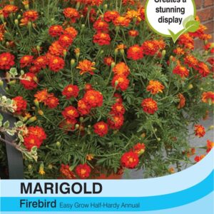 Marigold Firebird