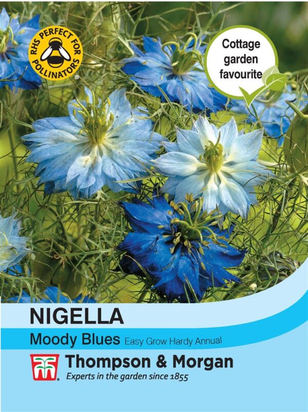 Nigella Moody Blues