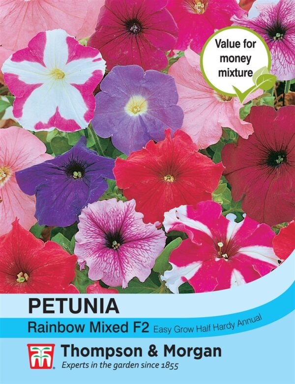 Petunia Rainbow Mixed F2