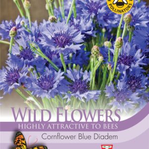Wild Flower Cornflower Blue