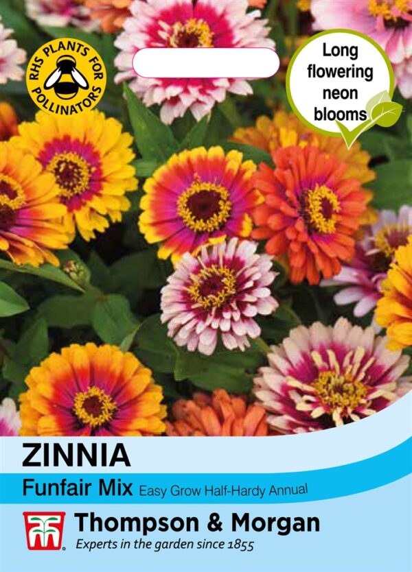 Zinnia Funfair Mix