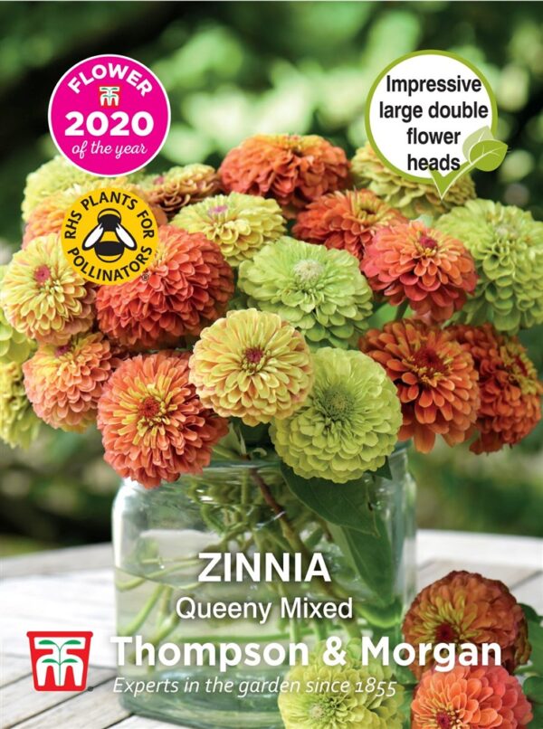 Zinnia Queeny Mixed