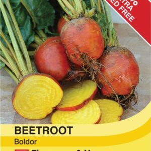 Beetroot Boldor