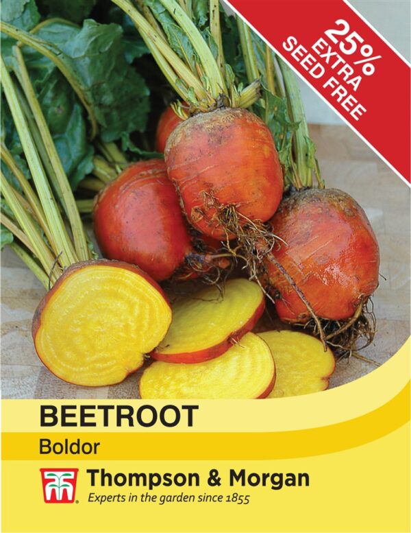 Beetroot Boldor
