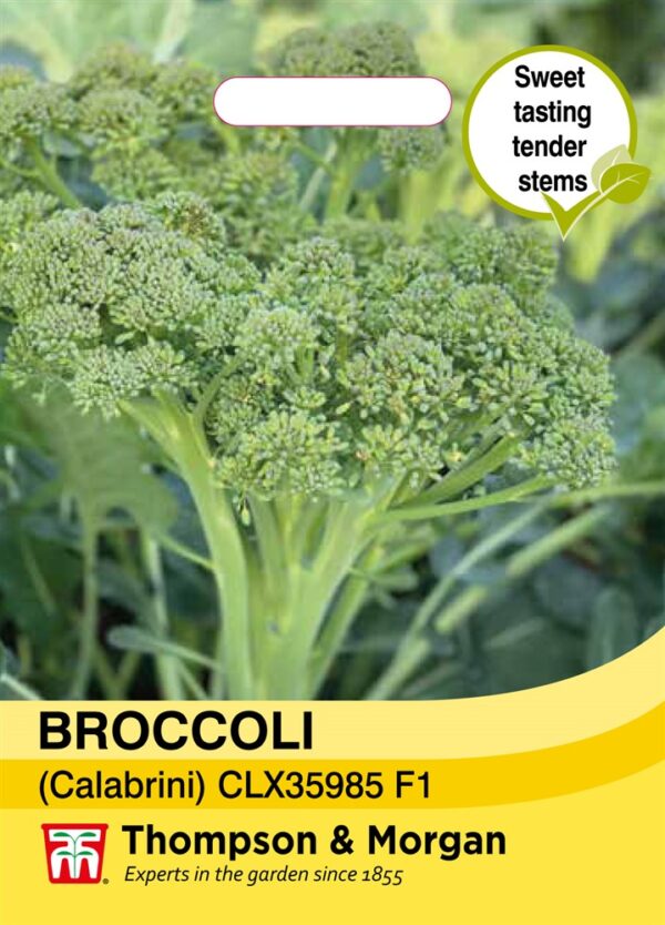 Broccoli calebrini Sweet