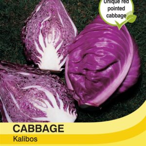 Cabbage Kalibos