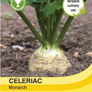 Celeriac Monarch