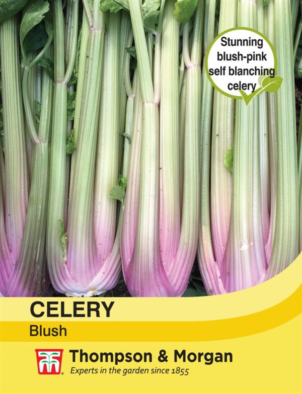 Celery Self-Blanching Blush