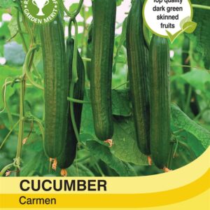 Cucumber Carmen