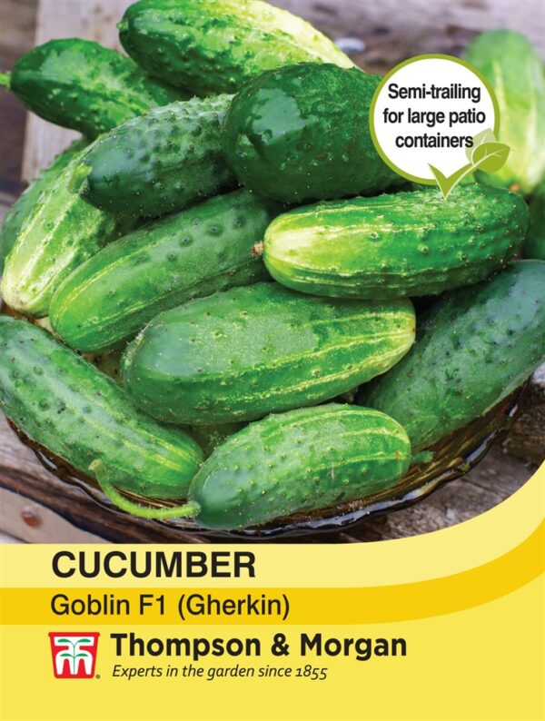 Cucumber Goblin F1 Hybrid