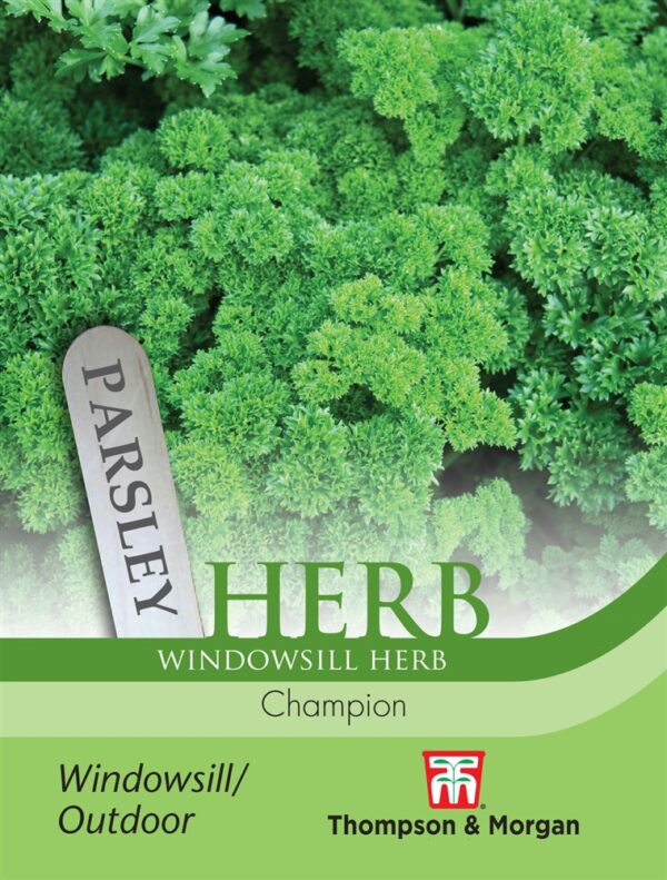 Herb Parsley Champion