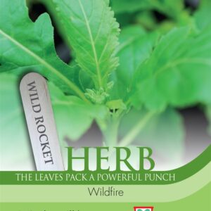 Herb Wild Rocket Wildfire