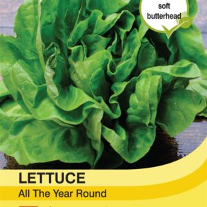 Lettuce All Year Round