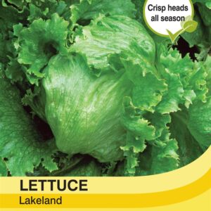 Lettuce Lakeland