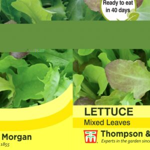 Lettuce Leaves Mixed