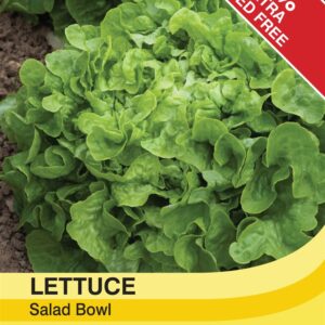 Lettuce Salad Bowl