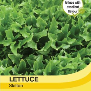 Lettuce Skilton