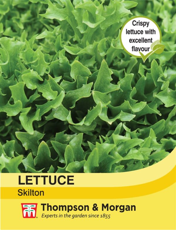 Lettuce Skilton