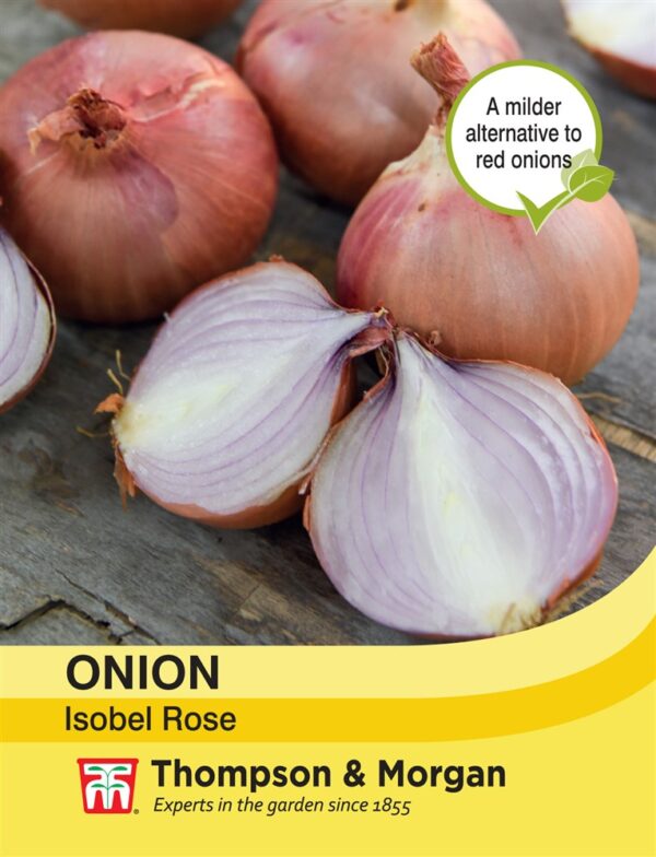 Onion Isobel Rose