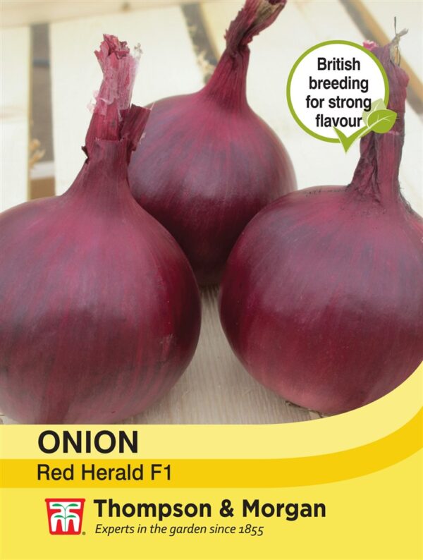 Onion Red Herald