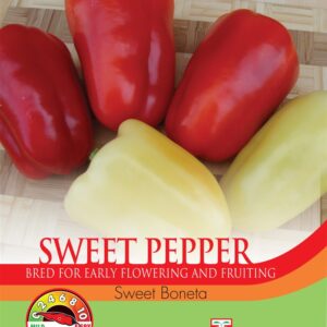 Pepper Sweet Boneta