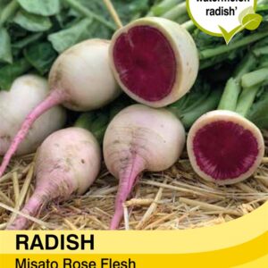 Radish Misato Rose Flesh