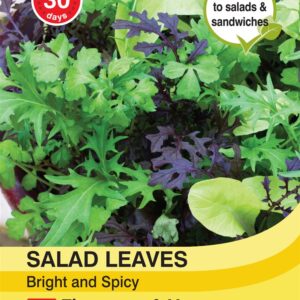 Salad Leaves