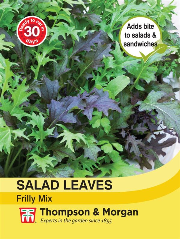 Salad Leaves - Frilly Mix