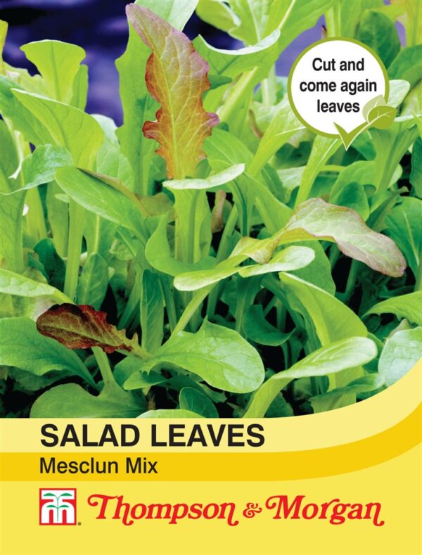 Salad Leaves - Mesclun