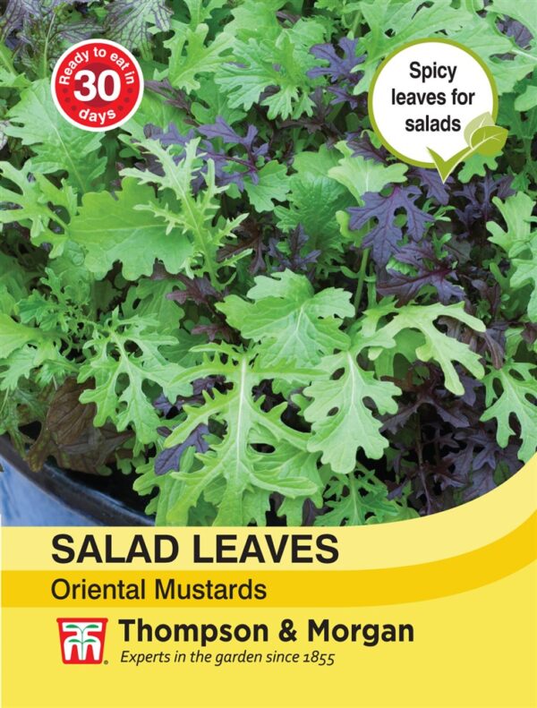 Salad Leaves - Oriental Mus