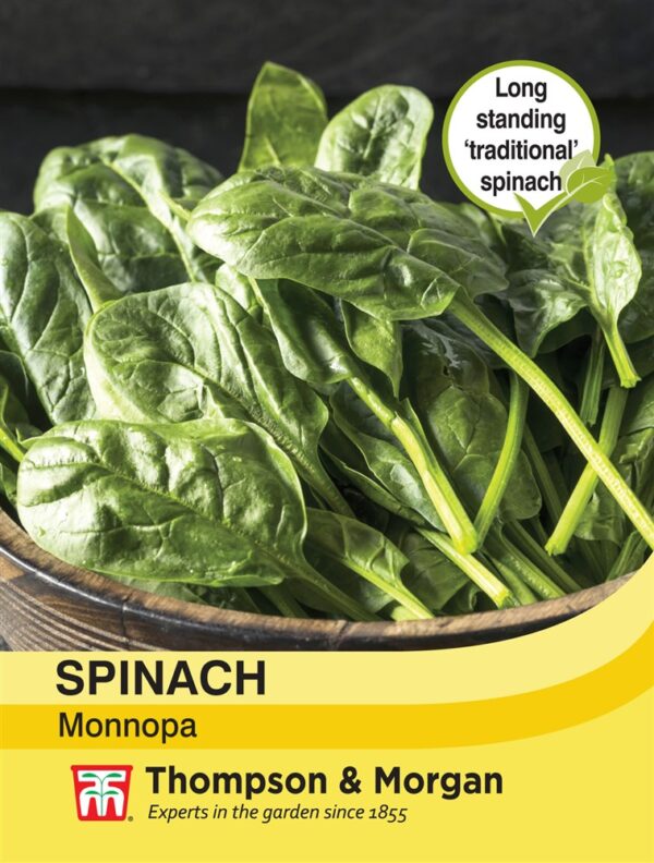 Spinach Monnopa