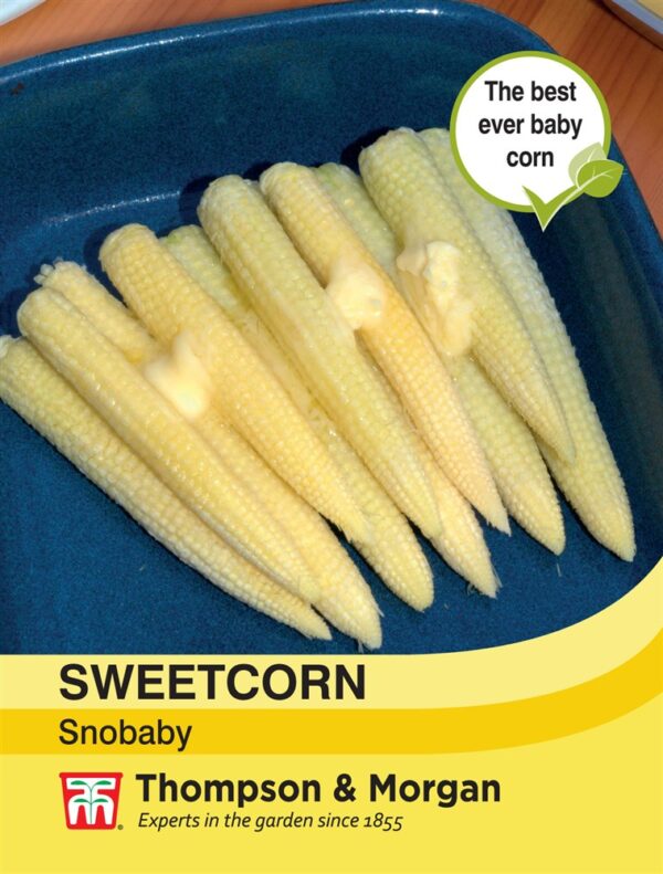 Sweetcorn Snobaby