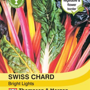 Swiss Chard Bright Lights