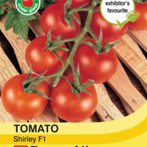 Tomato Shirley F1 Hybrid