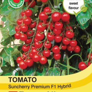 Tomato Suncherry Premium F1