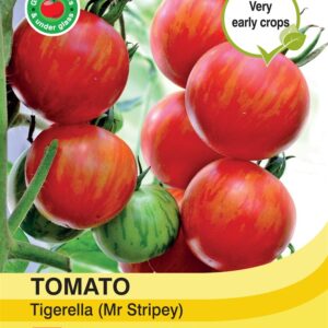 Tomato Tigerella Mr Stripe