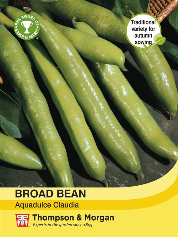 Broad Bean Aquadulce