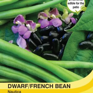 Dwarf Bean Nautica