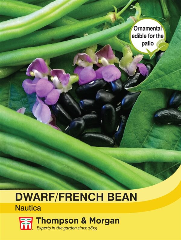 Dwarf Bean Nautica
