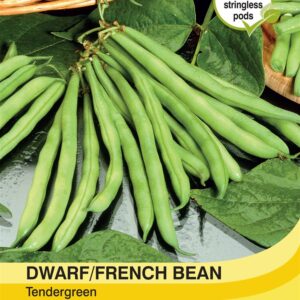 Dwarf Bean Tendergreen