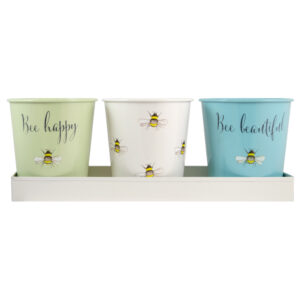 Bee Happy 3 Pots with Tray