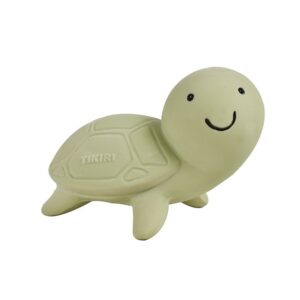 Turtle Rattle & Bath Toy
