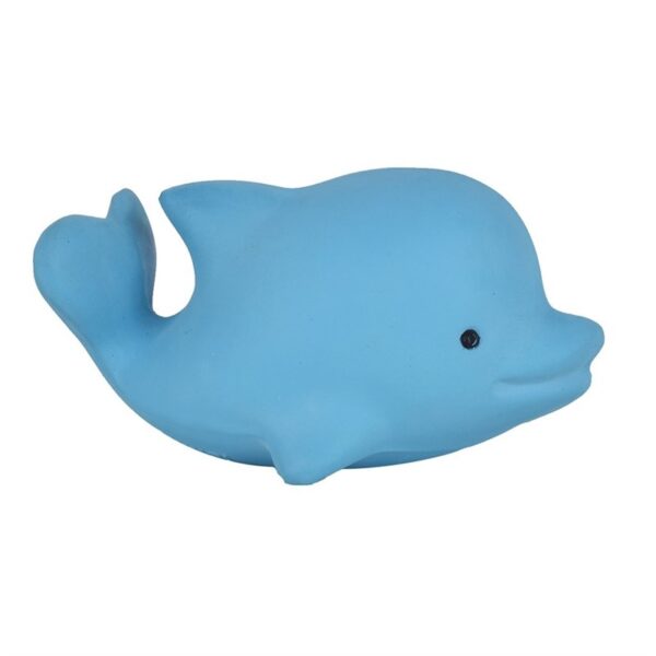 Dolphin Rattle & Bath Toy
